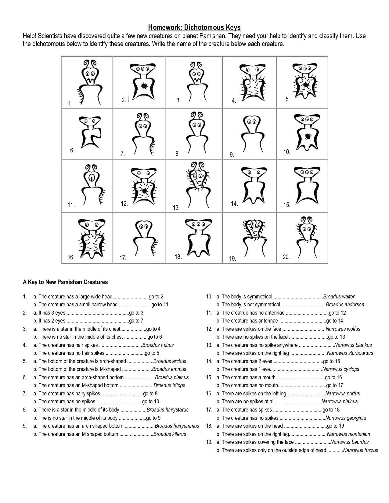 worksheet. Dichotomous Key Worksheet. Grass Fedjp Worksheet Study Site